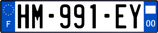 HM-991-EY