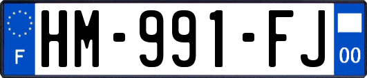 HM-991-FJ