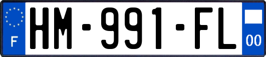 HM-991-FL