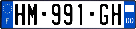 HM-991-GH