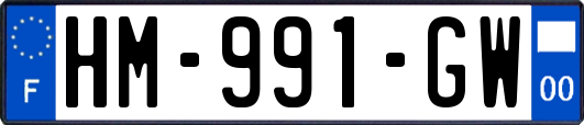 HM-991-GW