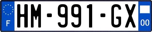 HM-991-GX