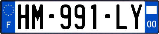 HM-991-LY