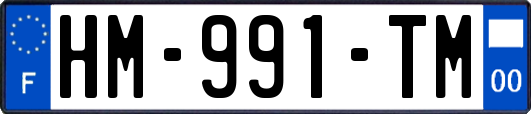 HM-991-TM