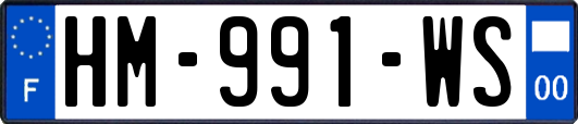 HM-991-WS
