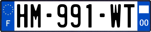 HM-991-WT