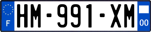 HM-991-XM