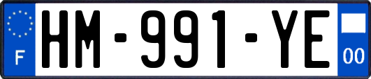 HM-991-YE