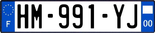 HM-991-YJ