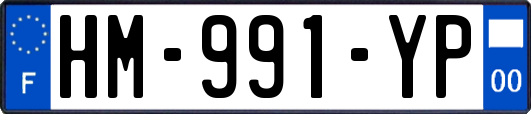HM-991-YP
