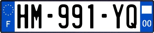 HM-991-YQ