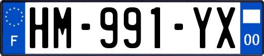 HM-991-YX
