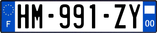 HM-991-ZY