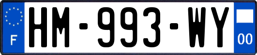 HM-993-WY
