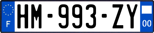 HM-993-ZY