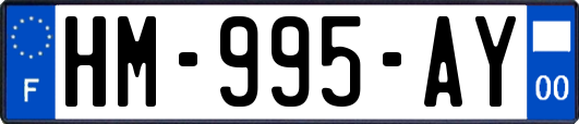 HM-995-AY