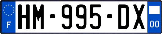 HM-995-DX