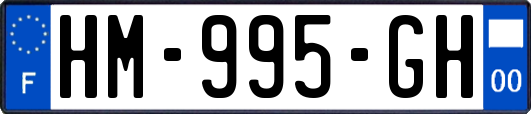 HM-995-GH