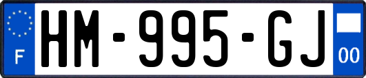 HM-995-GJ