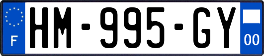 HM-995-GY