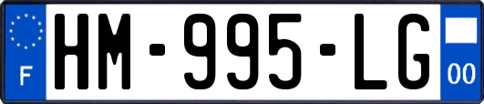 HM-995-LG
