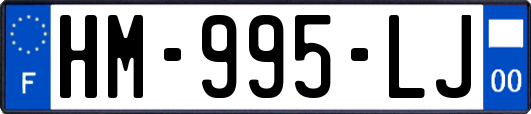 HM-995-LJ
