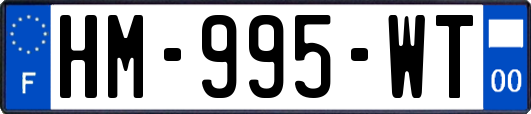 HM-995-WT