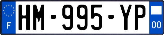 HM-995-YP