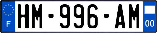 HM-996-AM