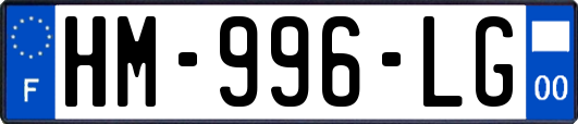 HM-996-LG