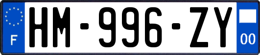 HM-996-ZY