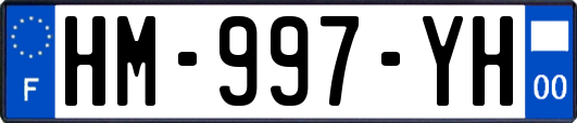 HM-997-YH