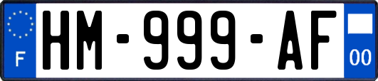 HM-999-AF