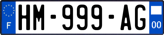 HM-999-AG