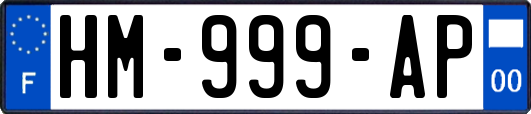 HM-999-AP