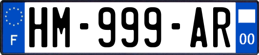 HM-999-AR