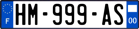 HM-999-AS