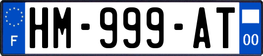 HM-999-AT