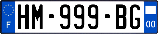 HM-999-BG