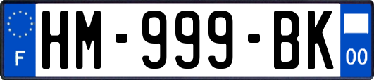 HM-999-BK