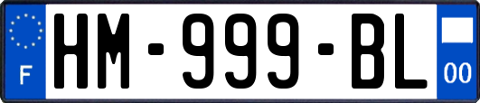 HM-999-BL