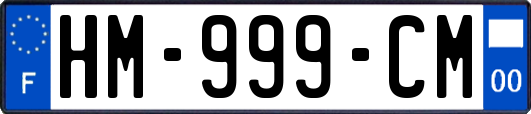 HM-999-CM