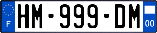 HM-999-DM