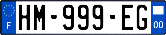 HM-999-EG