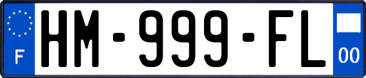 HM-999-FL