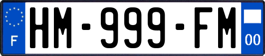 HM-999-FM