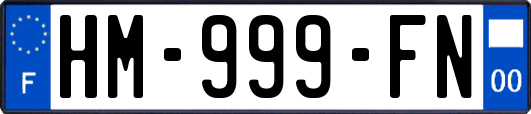 HM-999-FN