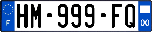 HM-999-FQ