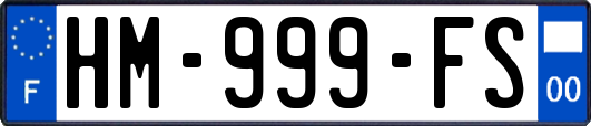 HM-999-FS