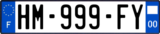 HM-999-FY